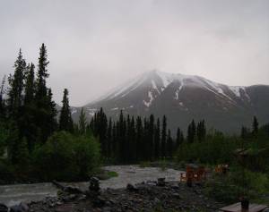 The view from our cabin's front door near Denali National Park